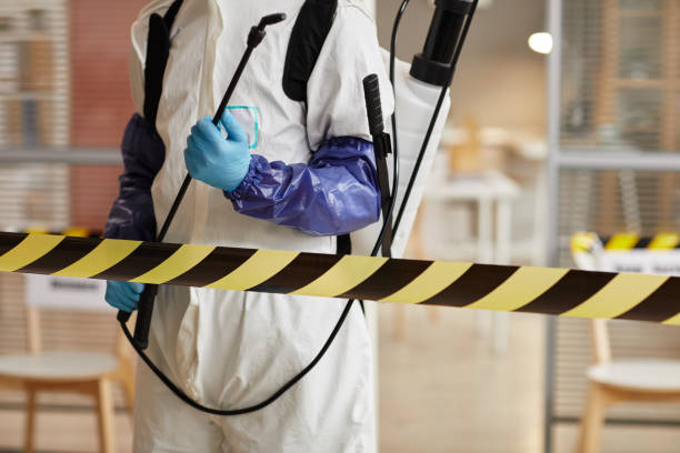 Professional Sewage Cleanup technician working in Ramona, CA